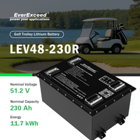 Batterie lithium-ion sans entretien pour voiturette de golf, pack rechargeable LiFePO4 avec BMS pour chariot électrique et véhicule électrique