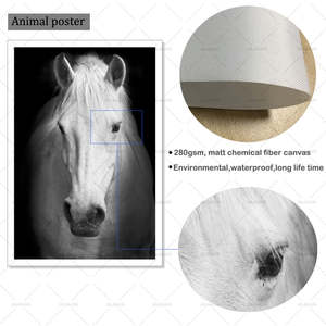 Impression numérique sur toile de <span class=keywords><strong>cheval</strong></span> <span class=keywords><strong>noir</strong></span> <span class=keywords><strong>et</strong></span> <span class=keywords><strong>blanc</strong></span>, art mural, décoration intérieure, panneaux d'images, affiche, salon - Product Image 3