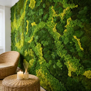 Art mural en mousse préservée sur mesure, fait main, écologique, panneau de mousse naturelle <span class=keywords><strong>pour</strong></span> la réception de bureau, le hall d'hôtel, décoration murale en mousse - Product Image 1