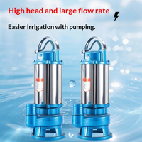 Pompe submersible pour eaux usées en acier inoxydable, certification CE, débit de 100-500 L/min, garantie de 2 ans, contrôle entièrement automatique pour
