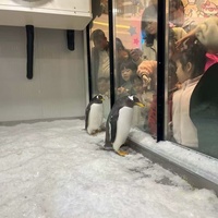 Pintu Kaca Isolasi Poliuretan Ruang Pendingin 10~-10C Kompresor untuk Lemari Display Penguin Pusat Perbelanjaan Taman Hiburan