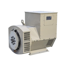 Generador Síncrono Stamford STF-224E de 50kw con Bobinado de Cobre Hexagonal sin Escobillas