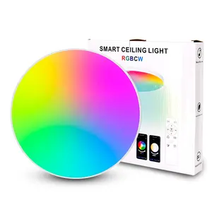 时尚简约20w 12英寸嵌入式灯具RGB CW发光二极管智能吸顶灯