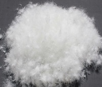 Doudoune 5% en duvet d'oie blanc, 95% en duvet d'oie, sans dor, sac de couchage, matériel de remplissage