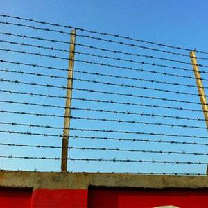 Dingzhou lima bintang logam pertanian <span class=keywords><strong>12</strong></span> gauge hijau pvc dilapisi hot-dipped galvanis kawat berduri harga pabrik terverifikasi - Product Image 6