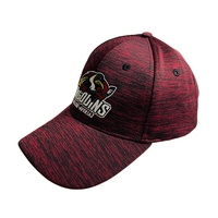 Casquettes de sport personnalisées en gros, casquette de sport avec logo personnalisé, casquette de baseball d'hiver pour hommes, logo brodé, 100% coton, Topi unisexe