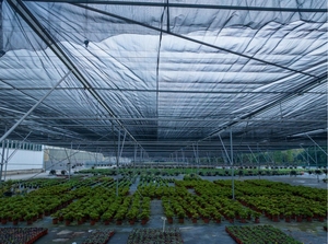 Usine Jiapei Cadre de tuyau <span class=keywords><strong>en</strong></span> acier galvanisé Pare-soleil <span class=keywords><strong>Abri</strong></span> simple Système d'ombrage de serre pour fleurs <span class=keywords><strong>en</strong></span> pot - Product Image 3