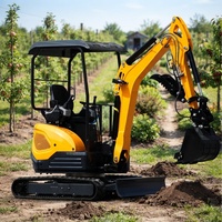 Pengiriman Gratis Euro 5 China Small Digger Ce Epa Mesin Penggali Mini Excavator Crawler Dengan Bucket Thumb Mesin Impor