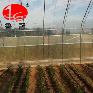 El mejor proveedor Invernadero película agrícola capa de plástico planta de película de plástico de efecto Invernadero - Product Image 1