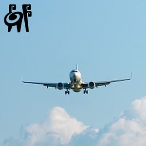 DHL UPS <span class=keywords><strong>FEDEX</strong></span> EMS로 프랑스/필리핀/남아프리카/콜롬비아/베네수엘라/가이아나 항공 배송 - Product Image 1