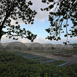Vita di vendita calda di alta qualità serra costo efficace Tunnel serra a basso prezzo di plastica agricola serra lungo servizio - Product Image 4