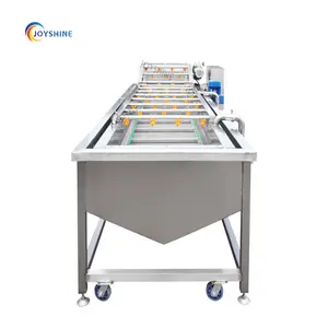 500kg Fruit Avocado washing waxing sorting machine vegetable cleaning processing line