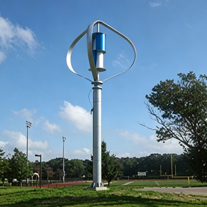 Venta Especial: Aerogenerador Vertical de 500W para Zonas Suburbanas Europeas - Product Image 6