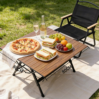 Table pliable en alliage d'aluminium pour le camping, au design moderne, pour une utilisation en extérieur et au parc