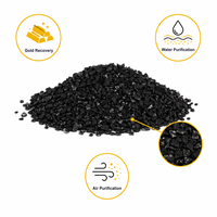 Charbon actif pour la récupération de l'or au cyanure, la décoloration, le traitement des eaux, la filtration chimique, charbon actif en vrac