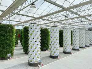 Jardin aéroponique, agriculture verticale intérieure, jardin hydroponique familial, plantation verticale, tour hydroponique pour ananas, pour fraises - Product Image 2