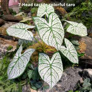 LO-797 <span class=keywords><strong>Foglie</strong></span> Artificiali all'Ingrosso, Steli di Fogliame Finto per Composizioni Floreali e Decorazioni per Eventi - Product Image 4