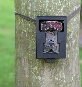 Cámara de rastro de caza resistente a la intemperie de visión nocturna de 940nm/850nm sin brillo disparo rápido vida silvestre sensor CMOS trampa de cámara - Product Image 6