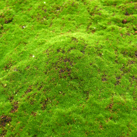 Offre Spéciale 1x1m tapis de gazon en mousse artificielle Simulation herbe murale pour la maison pelouse jardin paysage décor