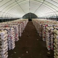 Structure de serre en acier à plusieurs travées sur mesure, serres commerciales à vendre