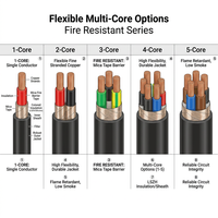 Cu/XLPE/PVC/SWA Feuerfestes Flexibles Armiertes Kabel 0,6/1kV Kupferleiter für Industrielle Infrastruktur