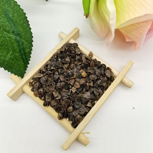 Vỏ Trấu/Vỏ Kiều Mạch Hữu Cơ Tự Nhiên Bán Sỉ Cho Gối - Product Image 5