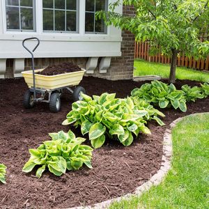 Malla Antihierbas de <span class=keywords><strong>Tela</strong></span> de PE Recubierta, Ligera, Resistente a los Rayos UV, Impermeable, Duradera, <span class=keywords><strong>para</strong></span> Jardinería, Paisajismo, Cobertura del Suelo, Uso en Exteriores - Product Image 4