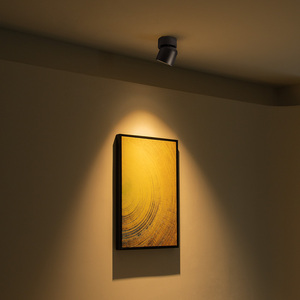 Aisilan Projet de boutique d'hôtel 7w 15w Dimmable Adjustable Anti Glare <span class=keywords><strong>Spot</strong></span> Down Lights Ceiling COB Surface Mounted <span class=keywords><strong>Led</strong></span> Downlight - Product Image 6