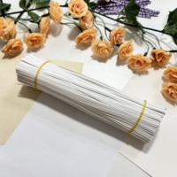 Attaches en papier kraft pré-coupées Fanxing, écologiques, blanches et brunes, pour viticulture, jardin et ferme – Offre spéciale