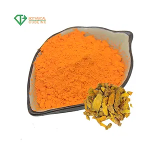 Extrato de ervas curcuma longa raiz turmeric curcuma 95%, puro orgânico, turmeric em massa, pó