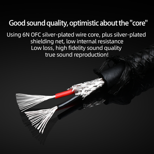 <span class=keywords><strong>สาย</strong></span>สัญญาณเสียงคุณภาพสูงขนาด<span class=keywords><strong>3.5</strong></span>มม. ถึง<span class=keywords><strong>2</strong></span> XLR ตัวผู้ตัวเมีย6N <span class=keywords><strong>3.5</strong></span>สเตอริโอชุบเงินสำหรับ XLR สำหรับไมโครโฟนและมอนิเตอร์ - Product Image 6