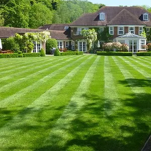 25mm paisaje verde césped sintético pasto césped artificial para el jardín del Hogar Villa