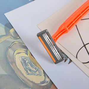 <span class=keywords><strong>MAX</strong></span> Productos Más Populares 2025 Maquinilla <span class=keywords><strong>de</strong></span> <span class=keywords><strong>Afeitar</strong></span> Desechable <span class=keywords><strong>de</strong></span> <span class=keywords><strong>3</strong></span> <span class=keywords><strong>Cuchillas</strong></span> Ajustable para Rostro y Cuerpo Femenino con Empaque Personalizado - Product Image 2