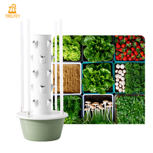 Hidroponía de fresa en África, soluciones de cultivo vertical de bajo costo para altos rendimientos - Product Image 6