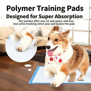 Waterproof Disposable <b>Dog</b> Pee Training <b>Pads</b> 33*45/45*60/60*60/60*90cm for Puppies & Senior <b>Dogs</b> Incontinence Whelping Use - Product Image 5