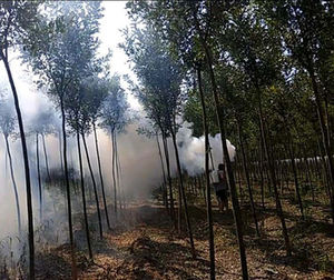 Máquina pulverizadora ligera de pesticidas para huertos, pulverizador de pulso de doble tubo tipo mochila, nueva máquina de pulverización de humo para granjas. - Product Image 6