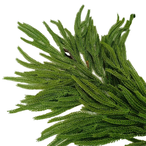 2025 Usine Real Touch <span class=keywords><strong>Norfolk</strong></span> Pin Guirlande Noël Plante Artificielle Décoration - Product Image 5