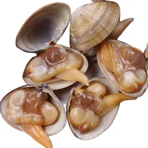 Snack delicious fresh MSC certified vacuum packed frozen seafood clams
