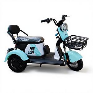 Tricycle électrique à 2 rangées en gros, panier pour adultes, 48V 600W, scooter électrique à 3 roues, vitesse unique, 12 tubes, contrôleur intelligent - Product Image 1