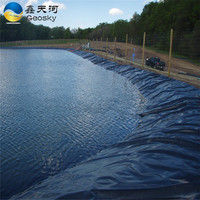 Géomembrane en PEHD pour Bassin de Poissons Anti-Infiltration, Largement Utilisée dans la Construction de Projets d'Aménagement Hydraulique d'Étang à Poissons et de Protection contre l'Humidité