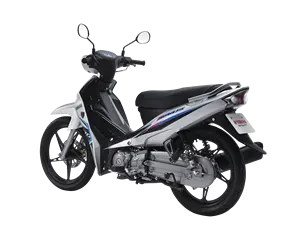 Vietnam Manufacturer High Speed Cheap Adult CKD Electric Motorcycle 1000w for Sale
