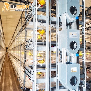 36,000 case di pollo sistema di sollevamento del pavimento della griglia per la batteria gabbia attrezzature con sistema di pulizia del letame - Product Image 5