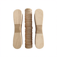 Bâtonnets de crème glacée ronds en bois de bouleau blanc, écologiques, portables, flexibles, faits maison, jetables, sûrs, de haute qualité, bon marché et très demandés