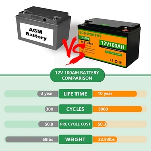 Batteria al Litio LiFePO4 12V Eco-worthy, Spedizione Gratuita, Ciclo Profondo per Attrezzature Mediche e di Sicurezza - Product Image 2