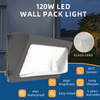 Lámpara de Pared Industrial LED con Lente de Vidrio Atenuable de 0-10 V, Sin Amarilleo, 40 W, con Fotocélula, Resistente al Agua IP65, Montaje en Pared