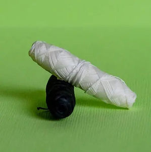 <span class=keywords><strong>Fil</strong></span> <span class=keywords><strong>dentaire</strong></span> pour soins bucco-dentaires <span class=keywords><strong>Zero</strong></span> Waste vegan eco-friendly Bamboo Charcoal Dental Floss Bamboo - Product Image 6