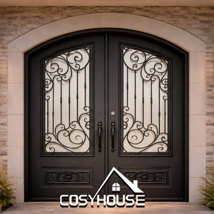 Elegant Arched Decorative Glass Double Entry Door with Black Metal <b>Frame</b> - Product Image 4