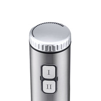 Mixeur Plongeant Électrique Portable Andong de Haute Qualité avec 2 Vitesses pour Fruits et Usage Domestique