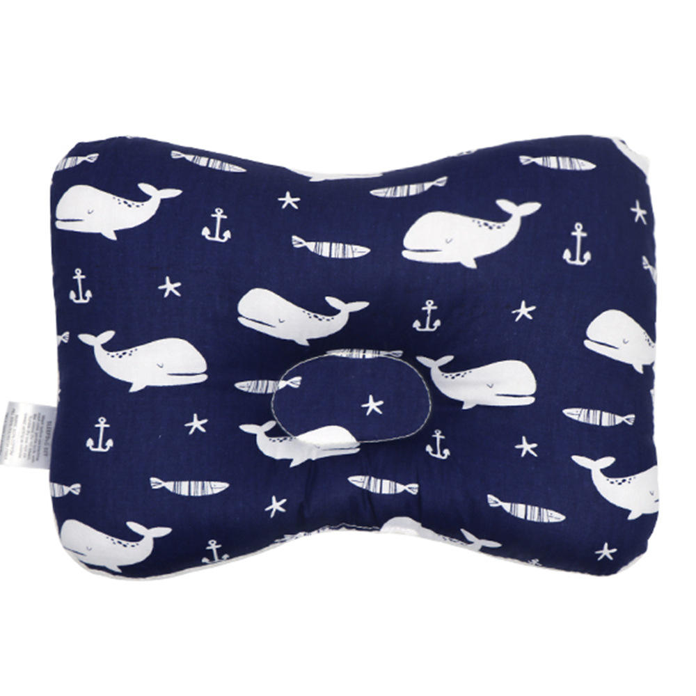 28*20-วาฬสีน้ำเงิน