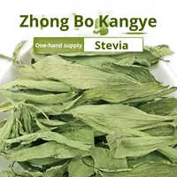 Vente en gros Nouvelle Feuille de Stevia en vrac 500g Thé en vrac Stevia séché Anhui Durée de conservation 12 mois Réfrigéré Promotion